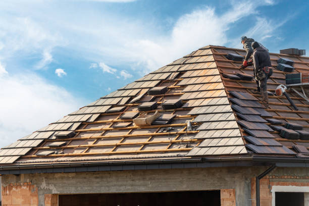 Professional  Roofing repair and installation in Mead, CO